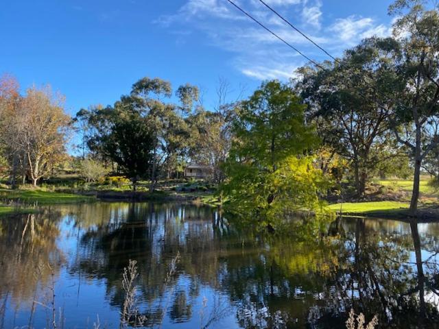Granite Gardens Cottages & Lake Retreat Stanthorpe Eksteriør bilde