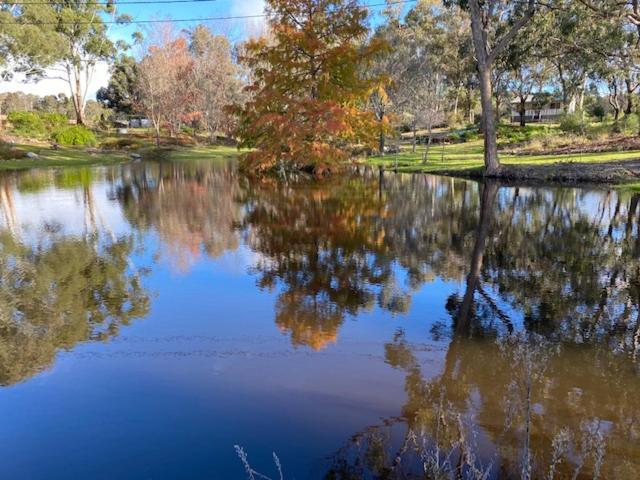 Granite Gardens Cottages & Lake Retreat Stanthorpe Eksteriør bilde