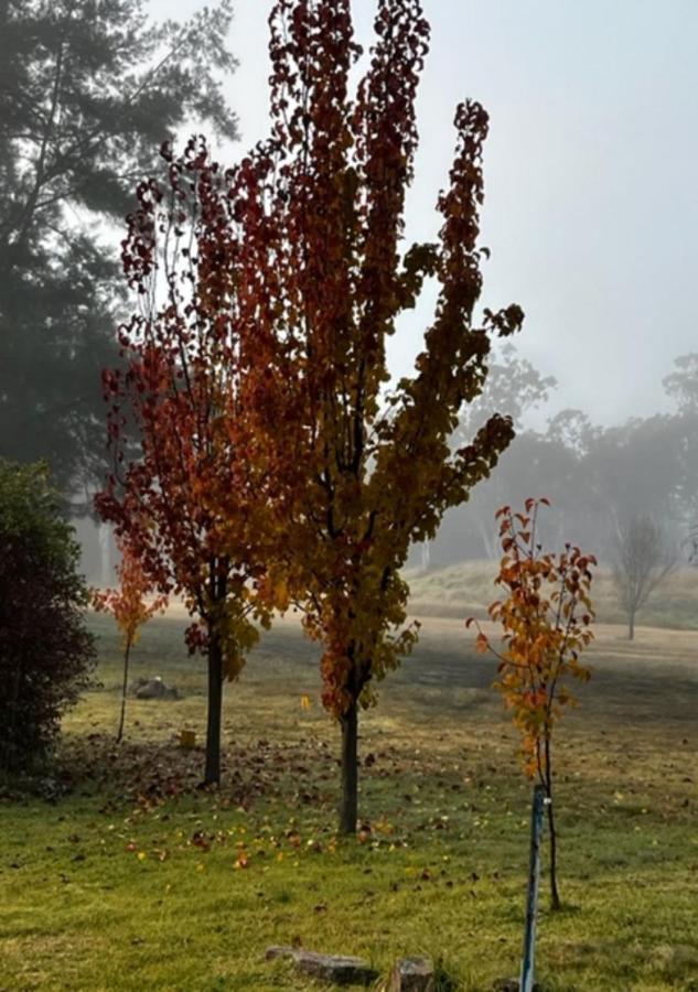Granite Gardens Cottages & Lake Retreat Stanthorpe Eksteriør bilde