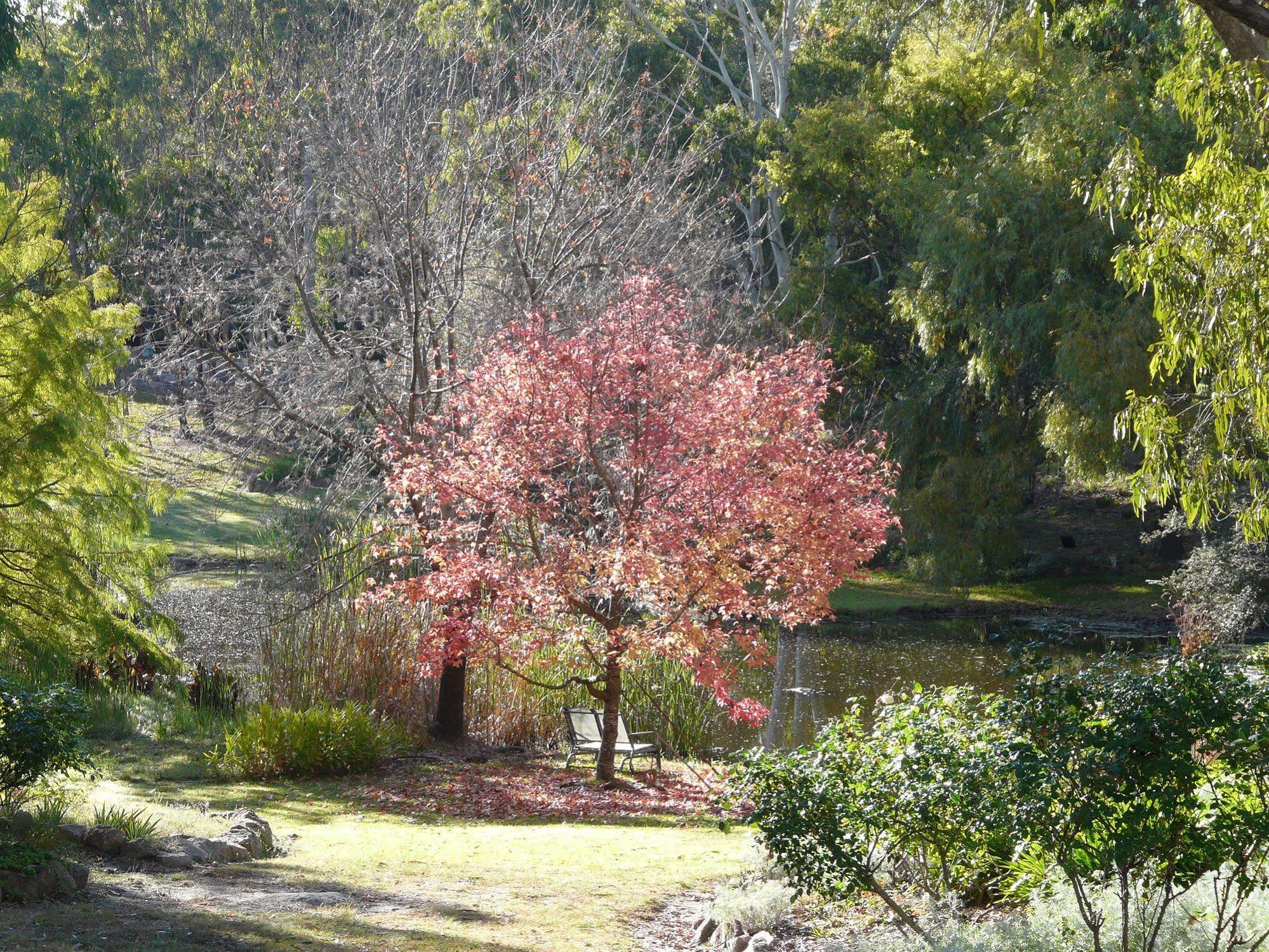 Granite Gardens Cottages & Lake Retreat Stanthorpe Eksteriør bilde